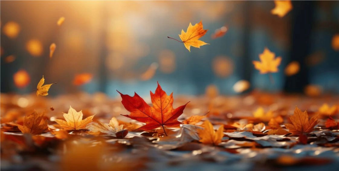 Magnetická krytka na radiátory Listy Podzimní maskovací podložka 60x100