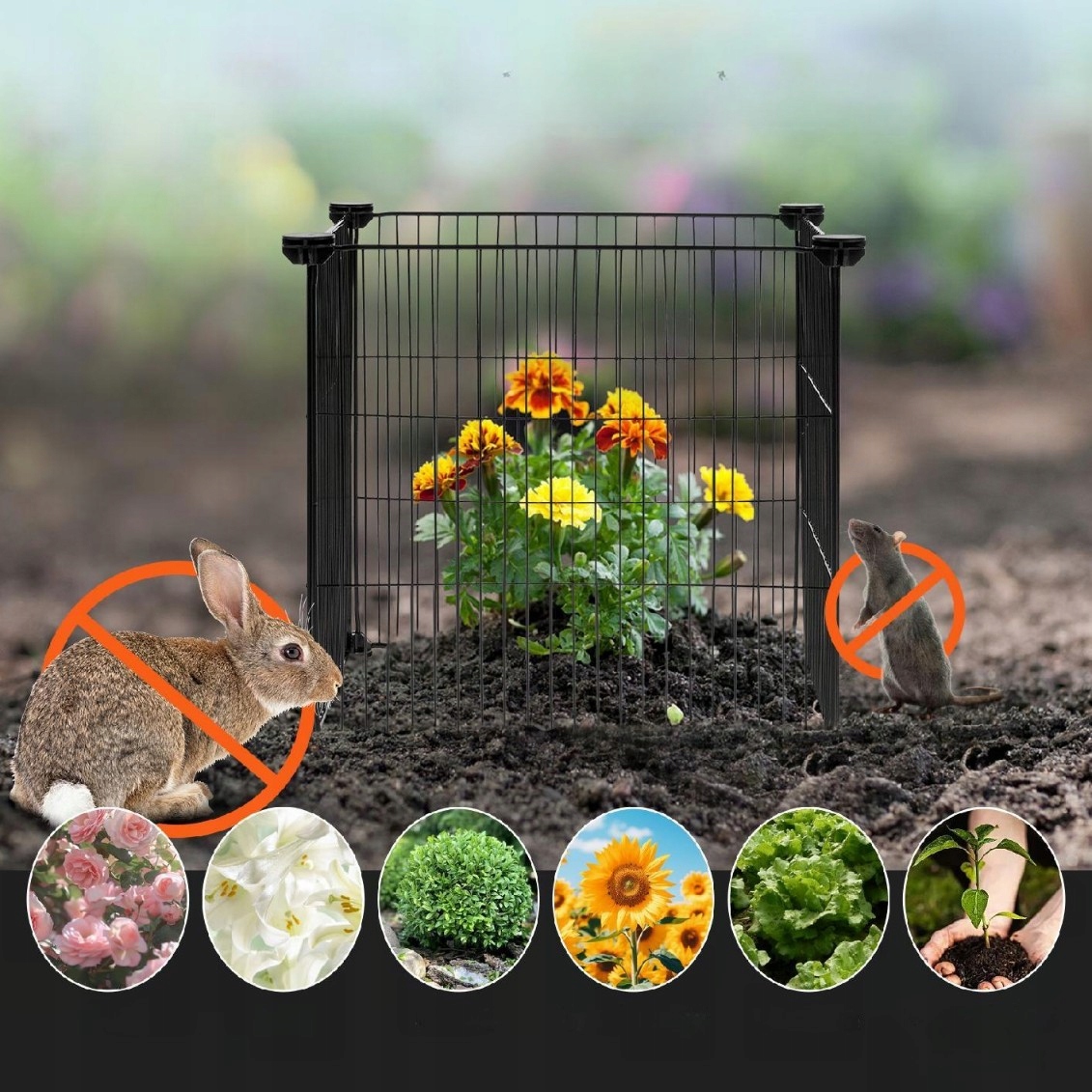 Kryt na rastliny 5 ks Kovová sieťka proti zvieratám 39x39 cm