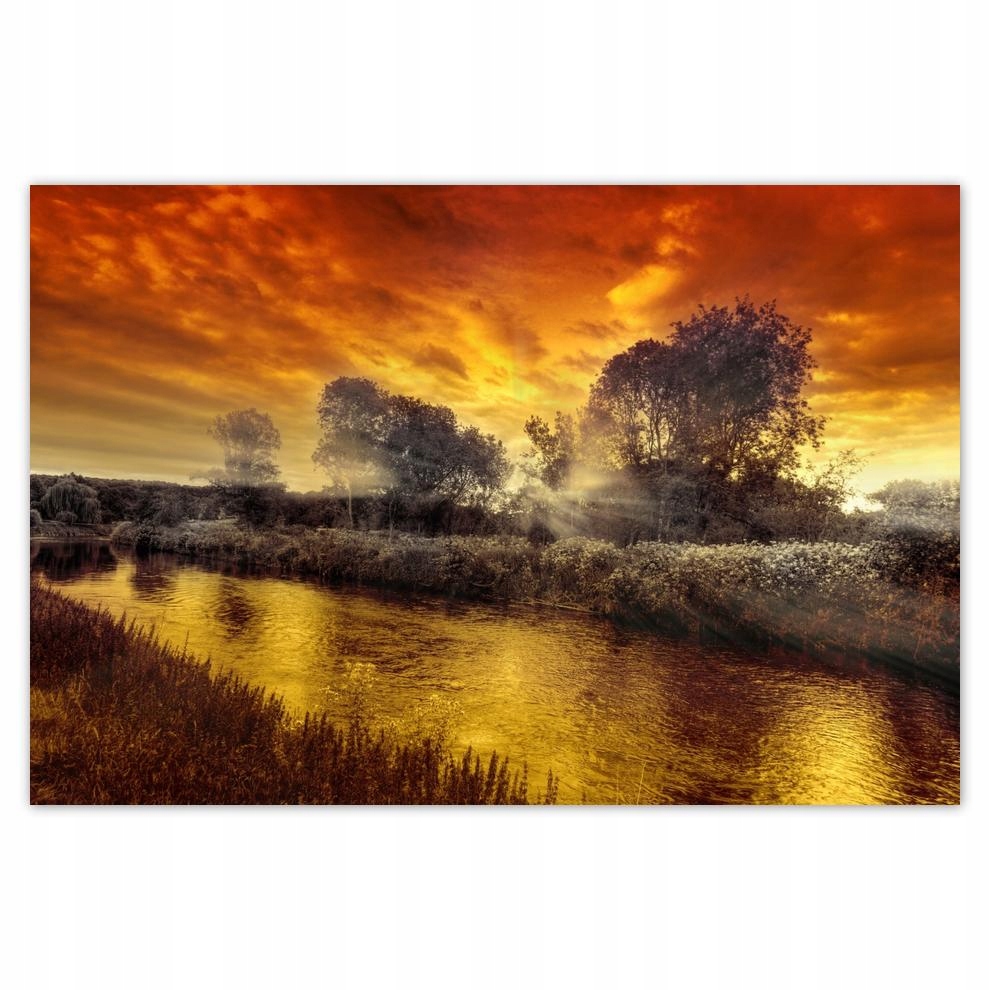 

Plakaty 60x40 Miodowy pejzaż