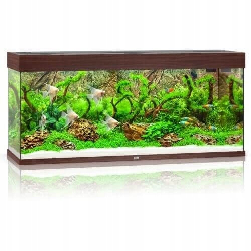 Juwel Rio 240 Led akwarium zestaw ciemne drewno