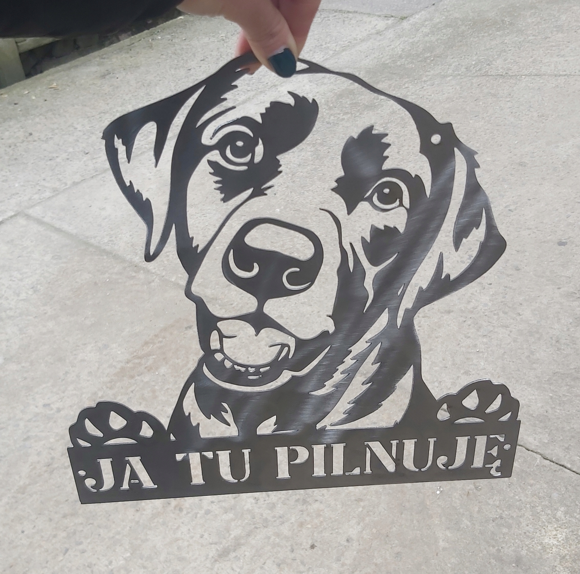 Tabule Pes Labrador na branku oplocení varovné já tady hlídám