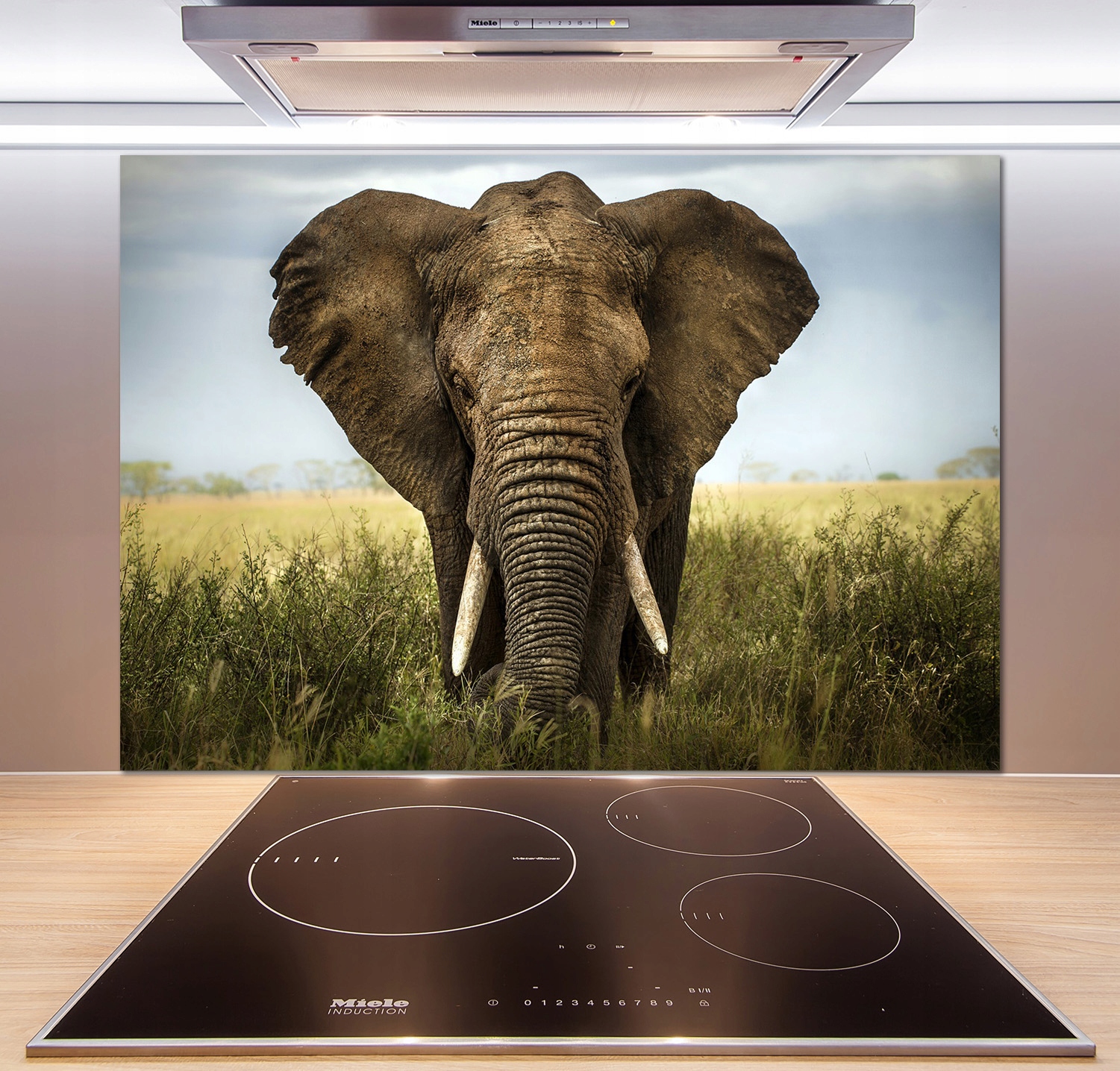 

Panel do kuchni Słoń na sawannie 100x70 cm + Klej