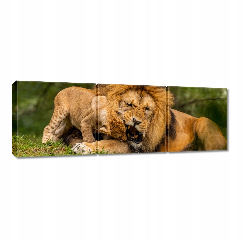 

Obrazy 60x20 Zwierzęta Zwierzątka