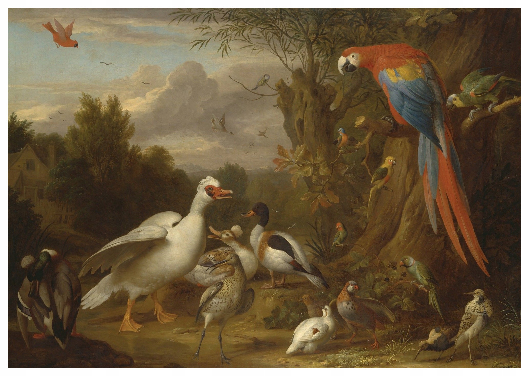 Vliesová fototapeta Exotické ptáci v zahradě barevná 312x219 lepidlo