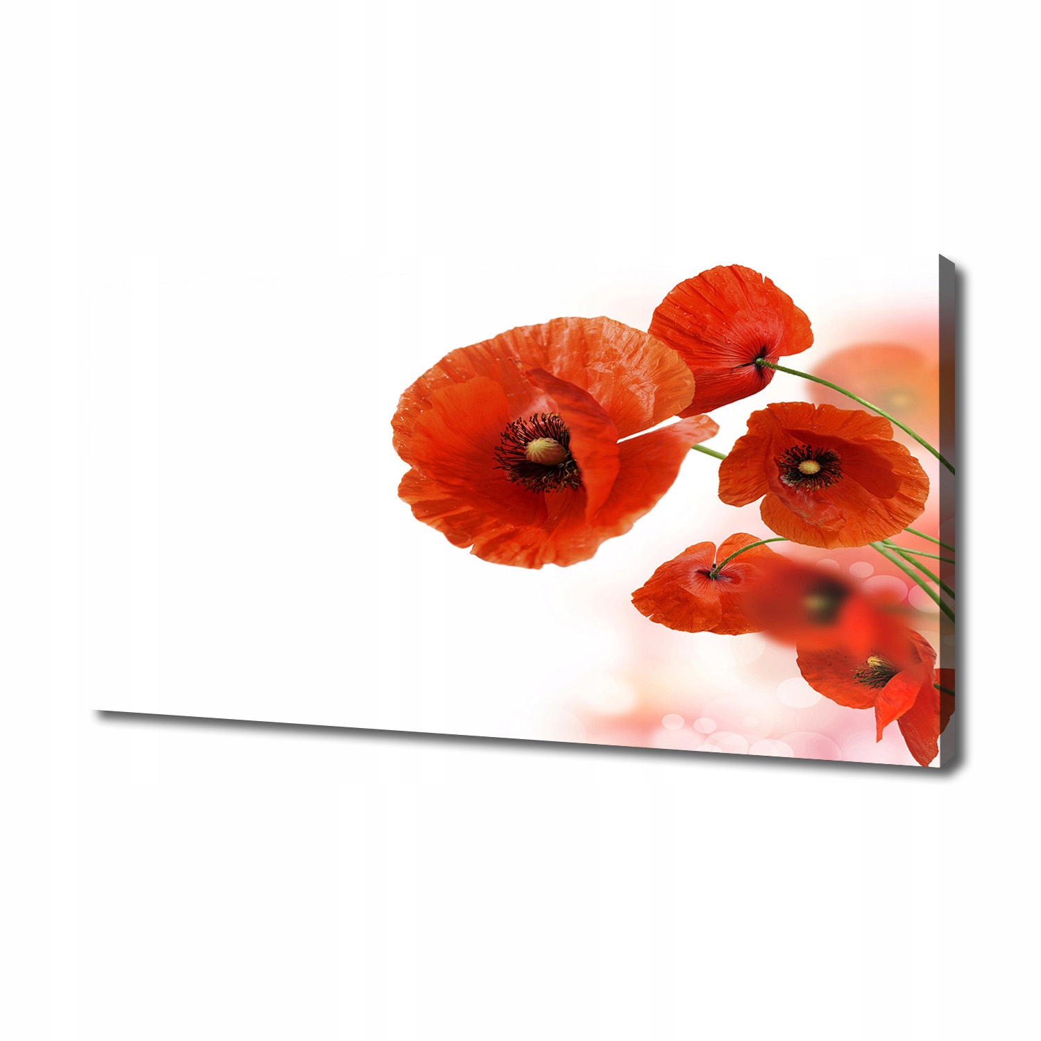 

Obraz zdjęcie na płótnie nowoczesny Maki 140x70 cm