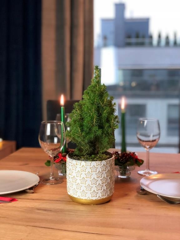 Doniczka osłonka biało złota ŚWIĄTECZNA 14 cm na GWIAZDĘ BETLEJEMSKĄ Kod producenta 05.248.14