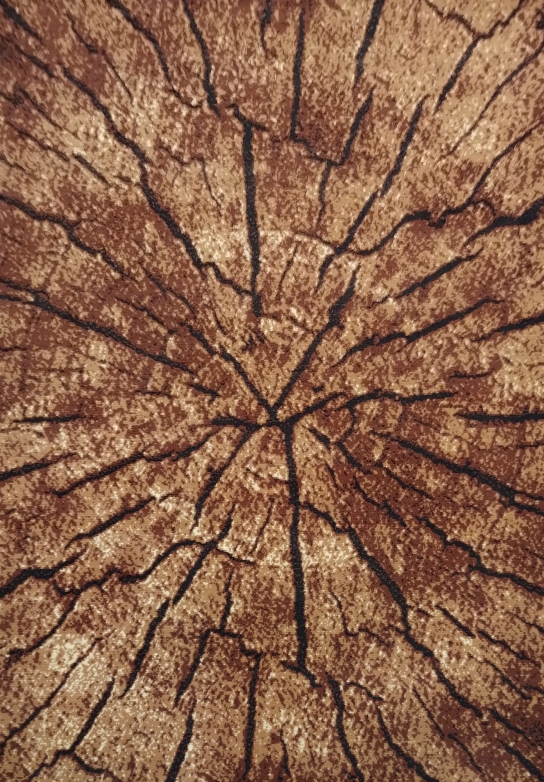 

Dywan Dywany Kolorowe Bcf Do Salonu 160x220