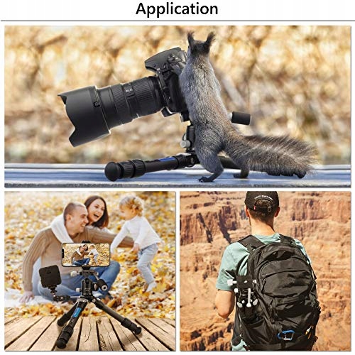 Statyw mini aparatu 17,3 cala, ARTCISE kompaktowy Model Tripod