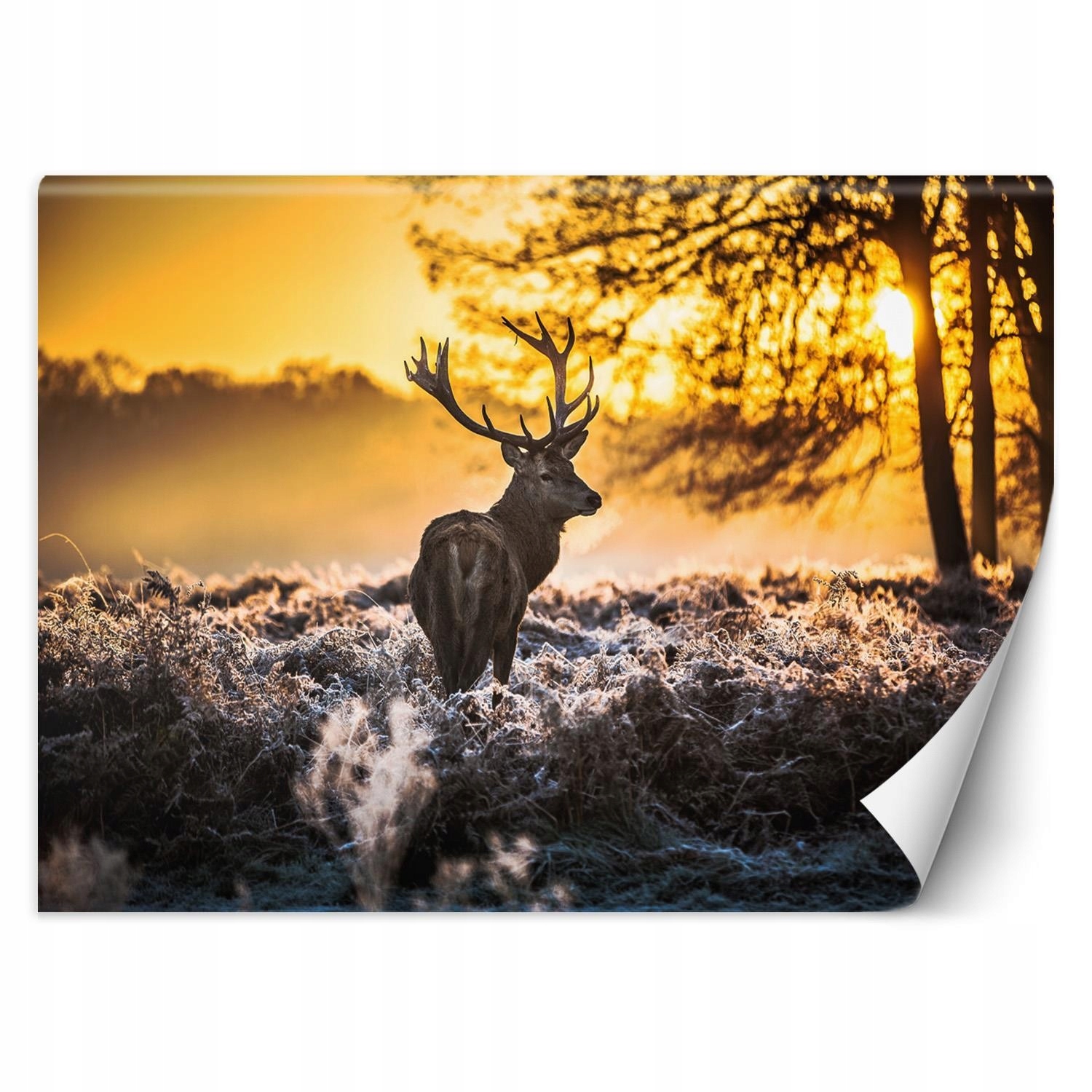 Fototapeta Jelen v mlze 300x210