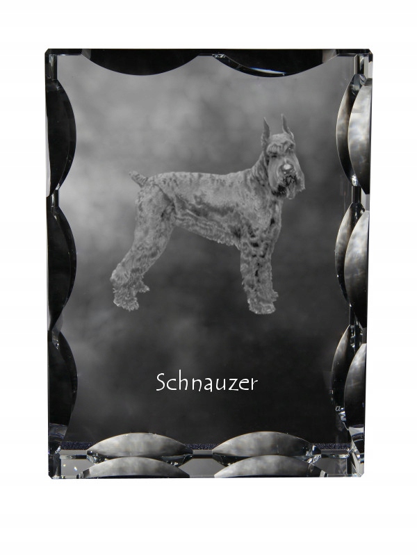 Sznaucer, Schnauzer I kryształ ze zdjęciem psa, szklana statuetka ze zdję