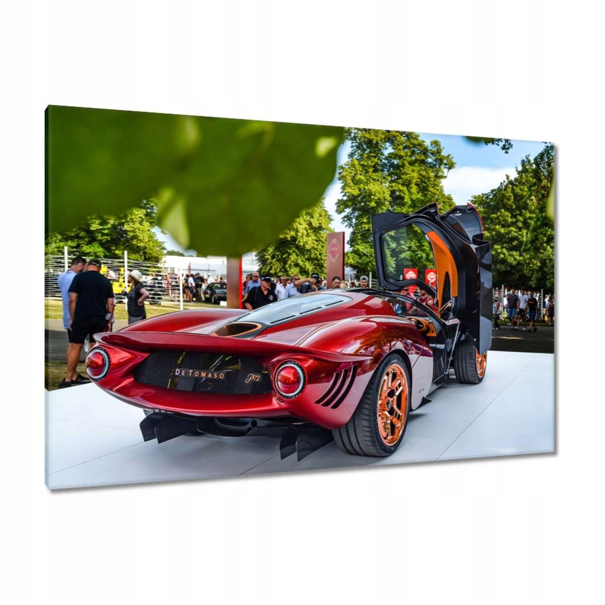 Obrazy 120x80 Detomaso Auto