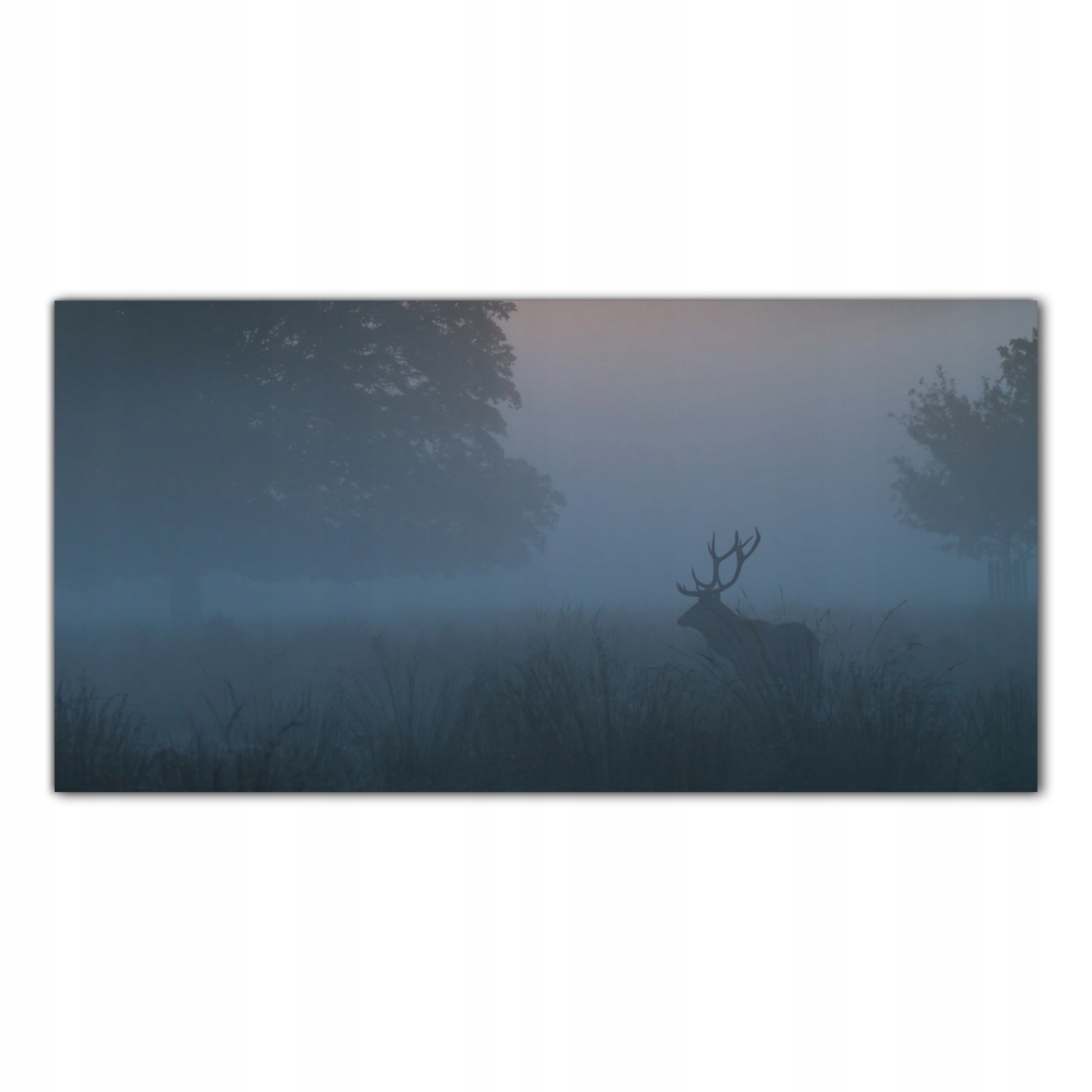

Obraz Szklany Foto-obraz Jeleń Zwierzę Mgła 120x60