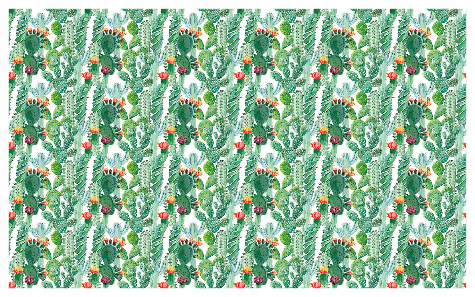 Fototapeta Šťavnaté kaktusy pouštní ráj na zdi 200x140 lepidlo