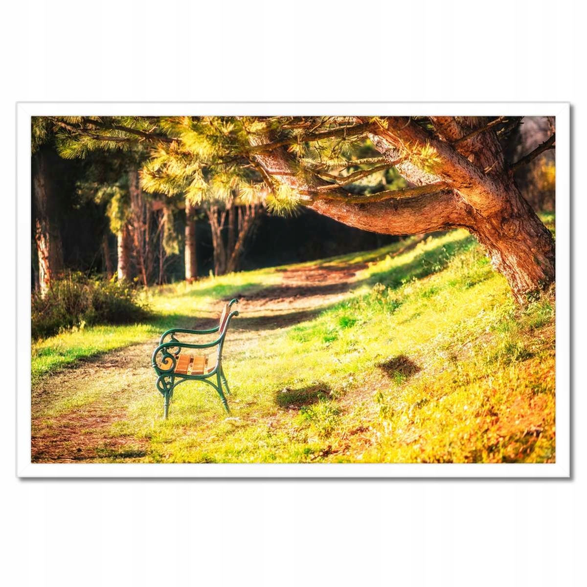 Plakáty v rámu 60x40 Krajina Pohled