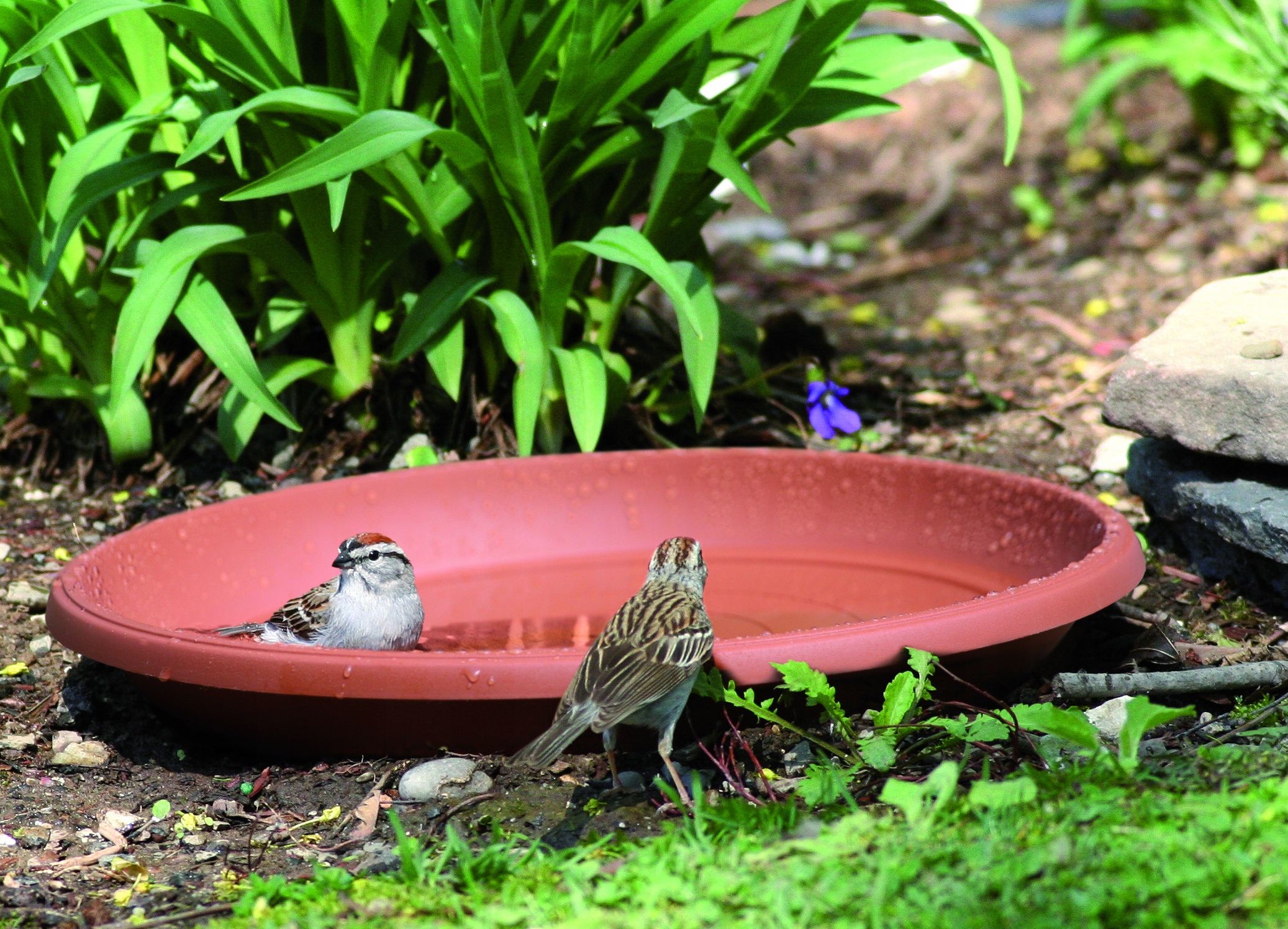 Podstawka Terra POD37 pod doniczkę DCE45 Długość 37 cm