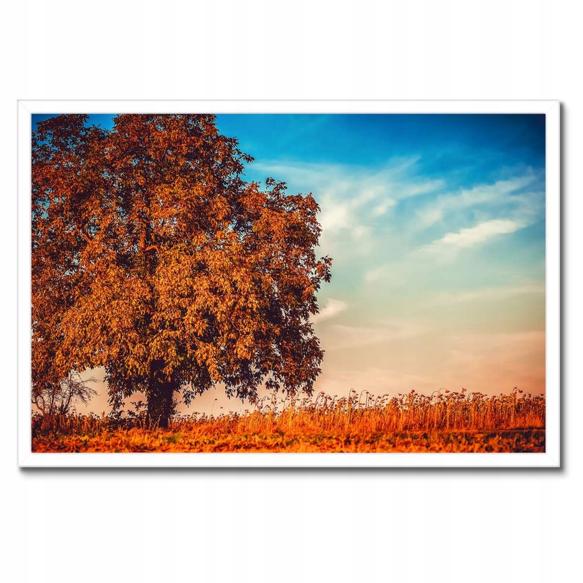 Plakáty v rámu 60x40 Podzimní barvy Krajina