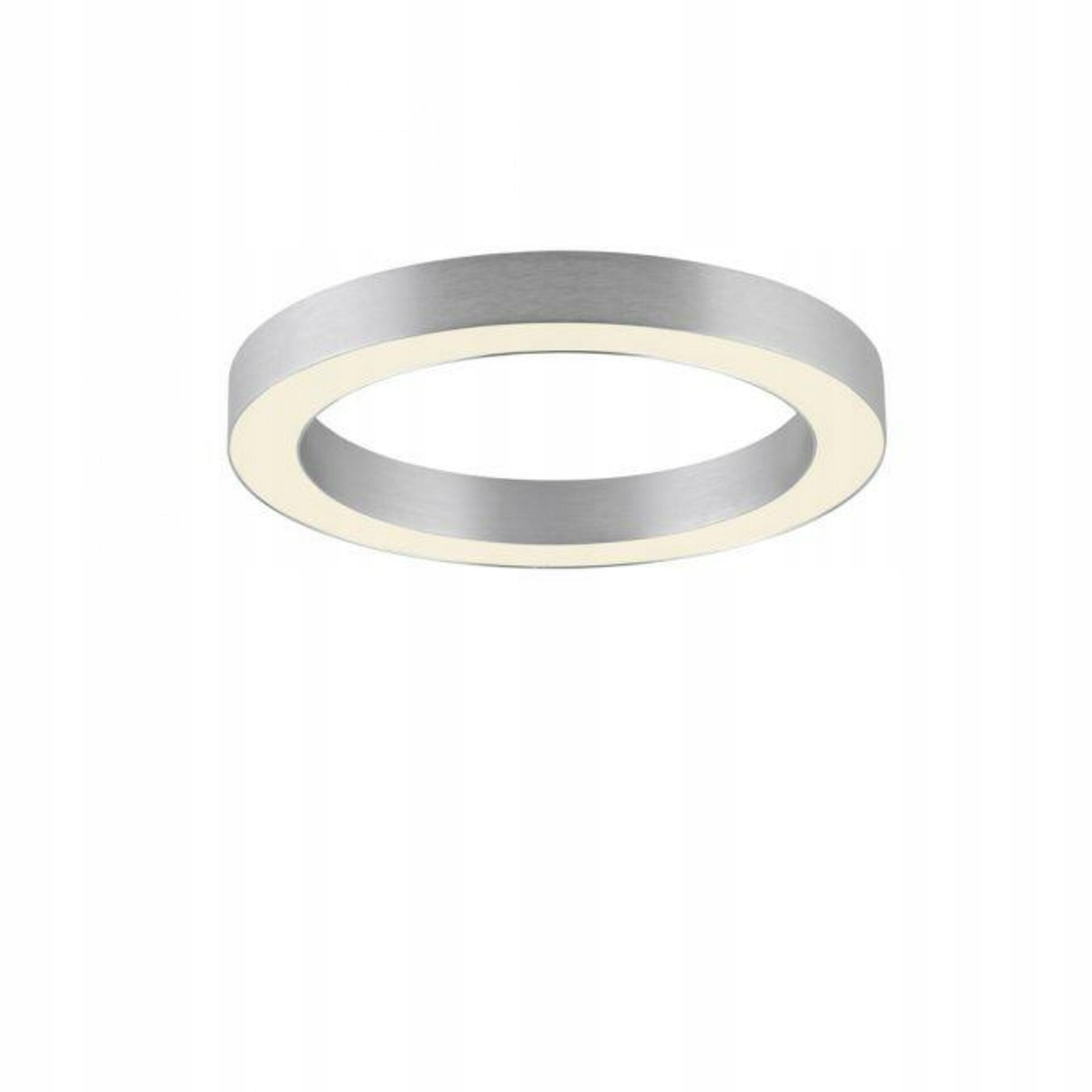 Paul Neuhaus Led stropné svietidlo Pure Lines okrúhle, metalická šedá (hliník