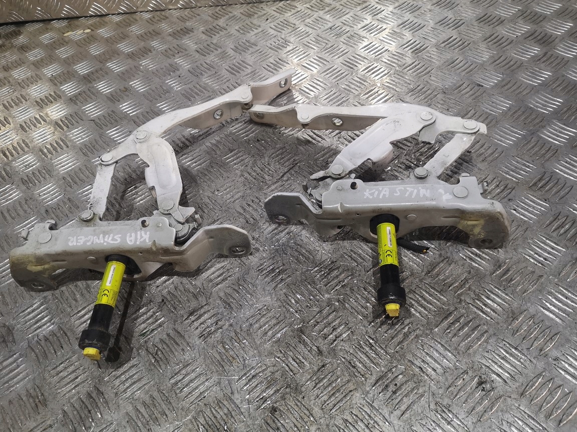 Kia Stinger 3.3 GT петлі капота картриджі повний комплект