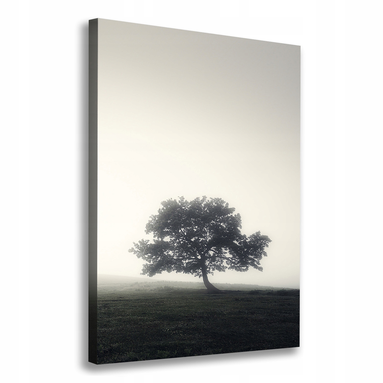 

Foto obraz na płótnie Drzewo we mgle 70x100 cm