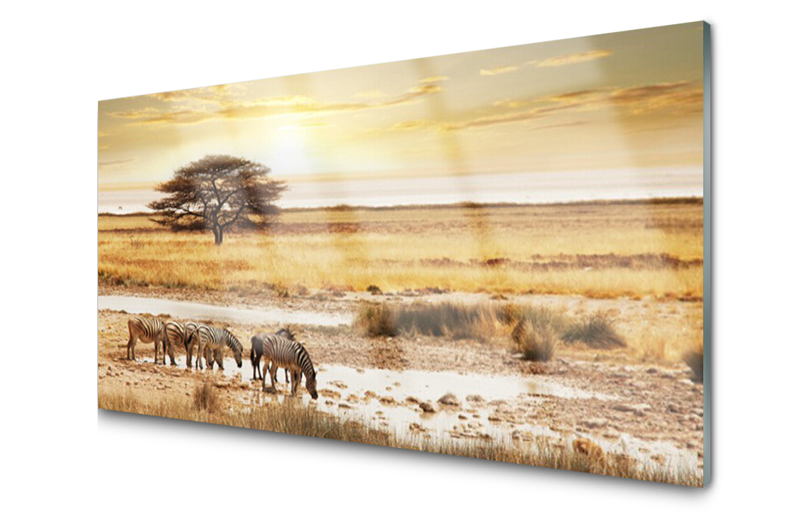 

Panel szklany dekor Afryka Zebry 120x60 + Klej