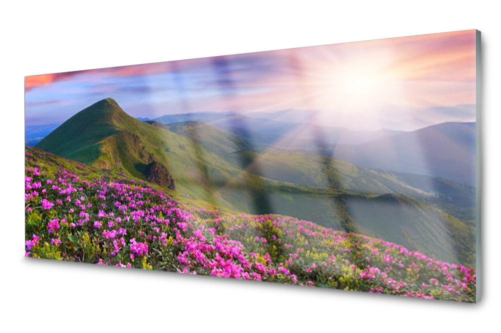 

Panel szklany do kuchni Góry Łąka Kwiaty 125x50
