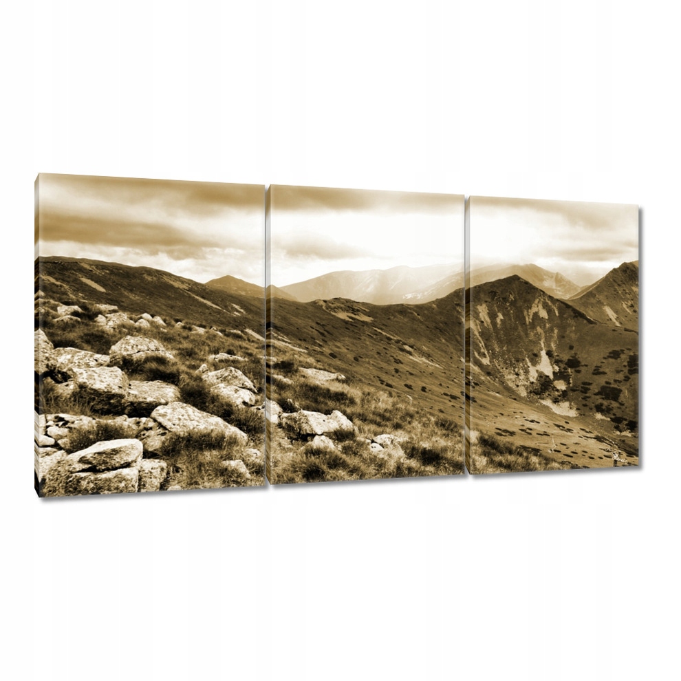 

Obrazy 120x60 Tatry Polskie góry Widok