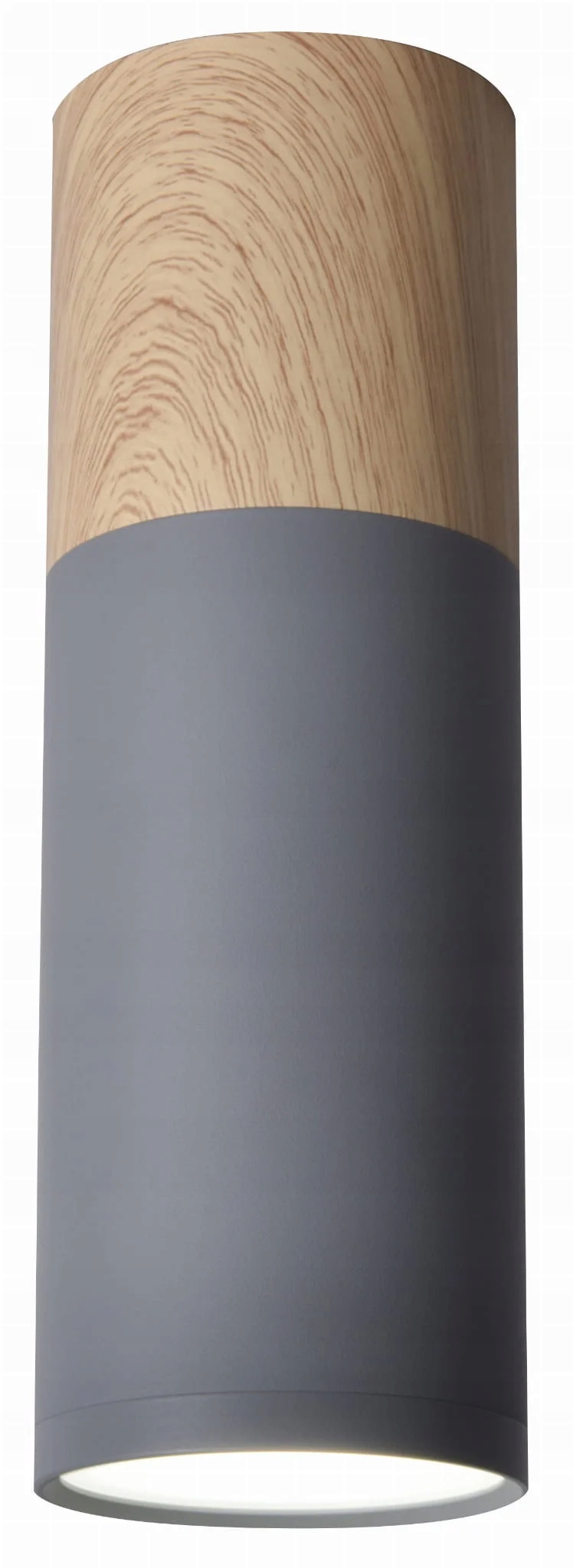 Stropní svítidlo Candellux Tuba GU10