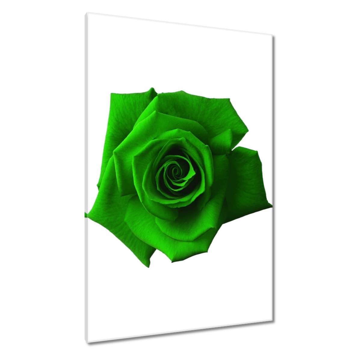 Obrazy 80x120 Den žen Dárek Láska