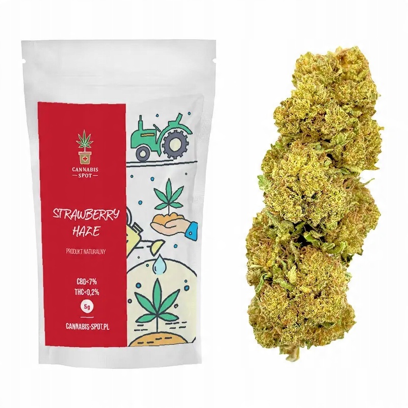 

Strawberry Haze Susz Konopny Cbd <7% 1g