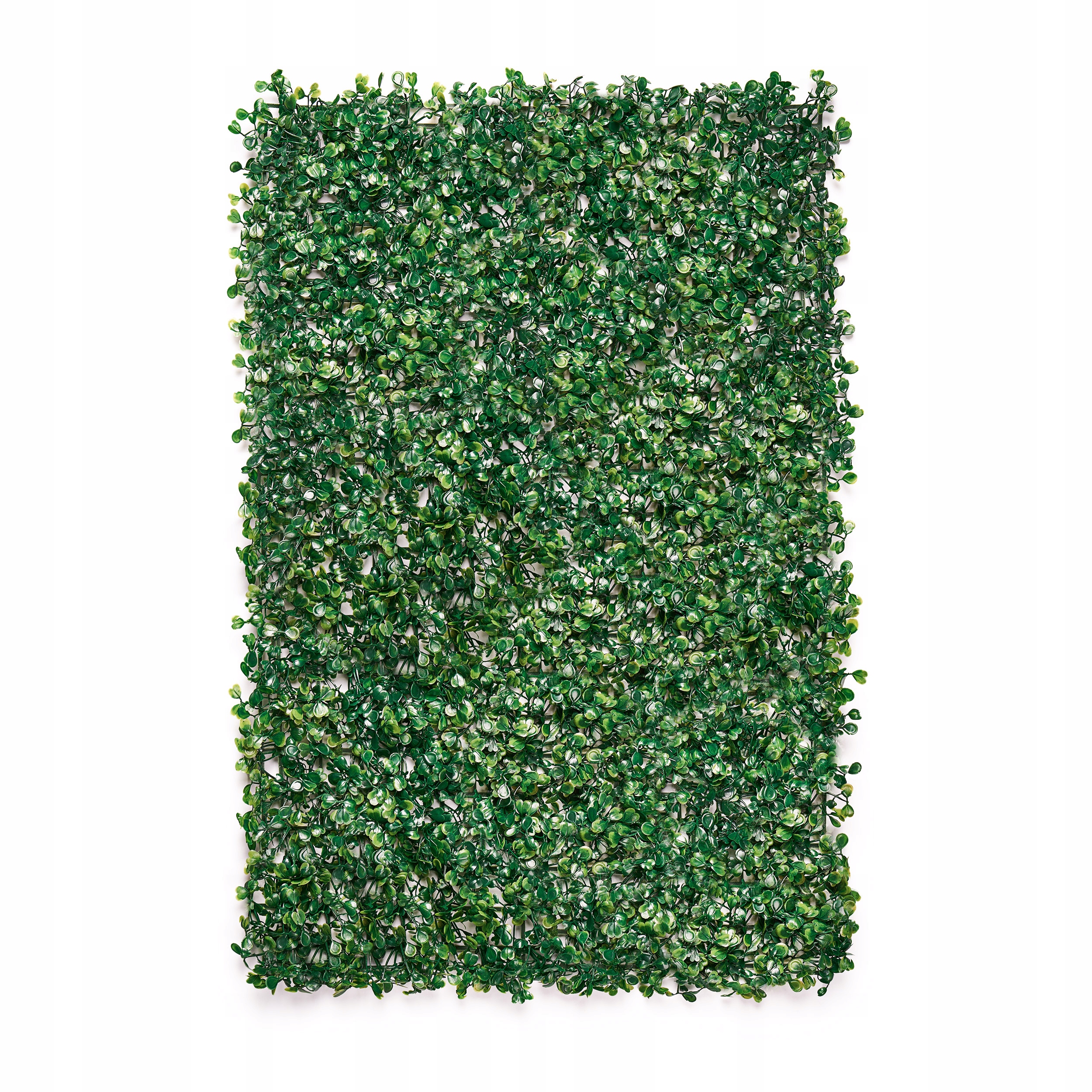 

Sztuczna zielona ściana mata panel rośliny moduł