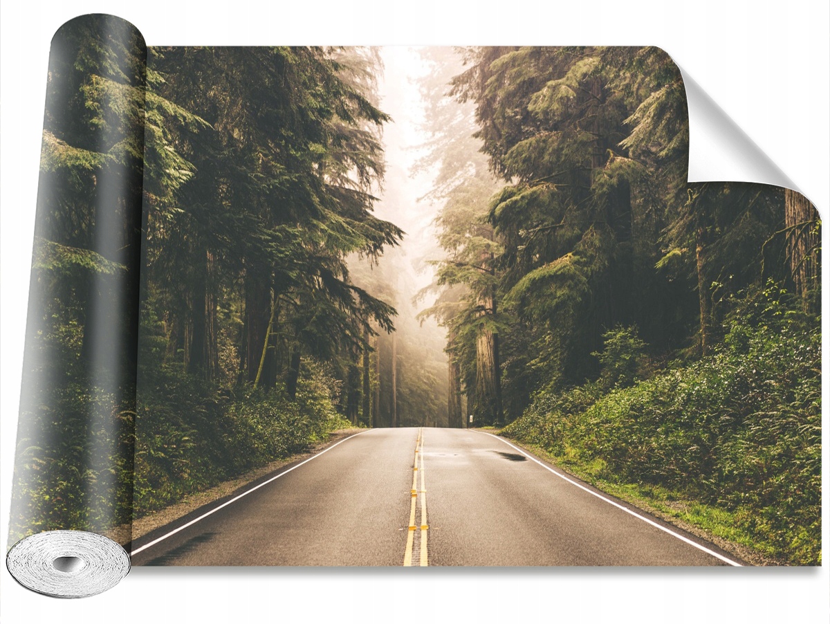 

Tapeta Samoprzylepna Mgła Szosa 208x146