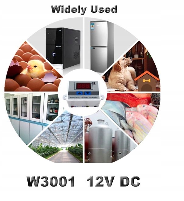 TERMOSTAT ELEKTRONICZNY REGULATOR TEMPERATURY 12V Rodzaj termostat