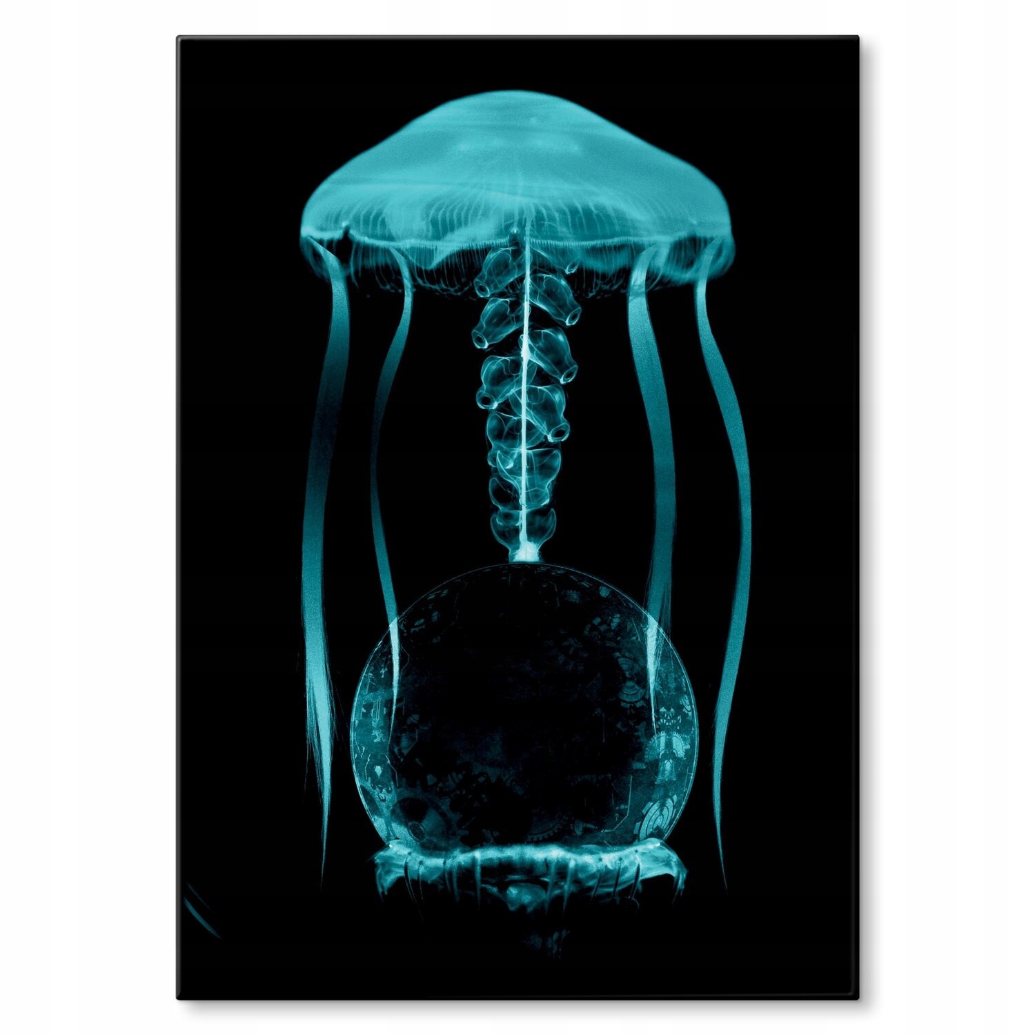 Kovový plakát Jellyfish 1 Dárek 42 x 59 cm