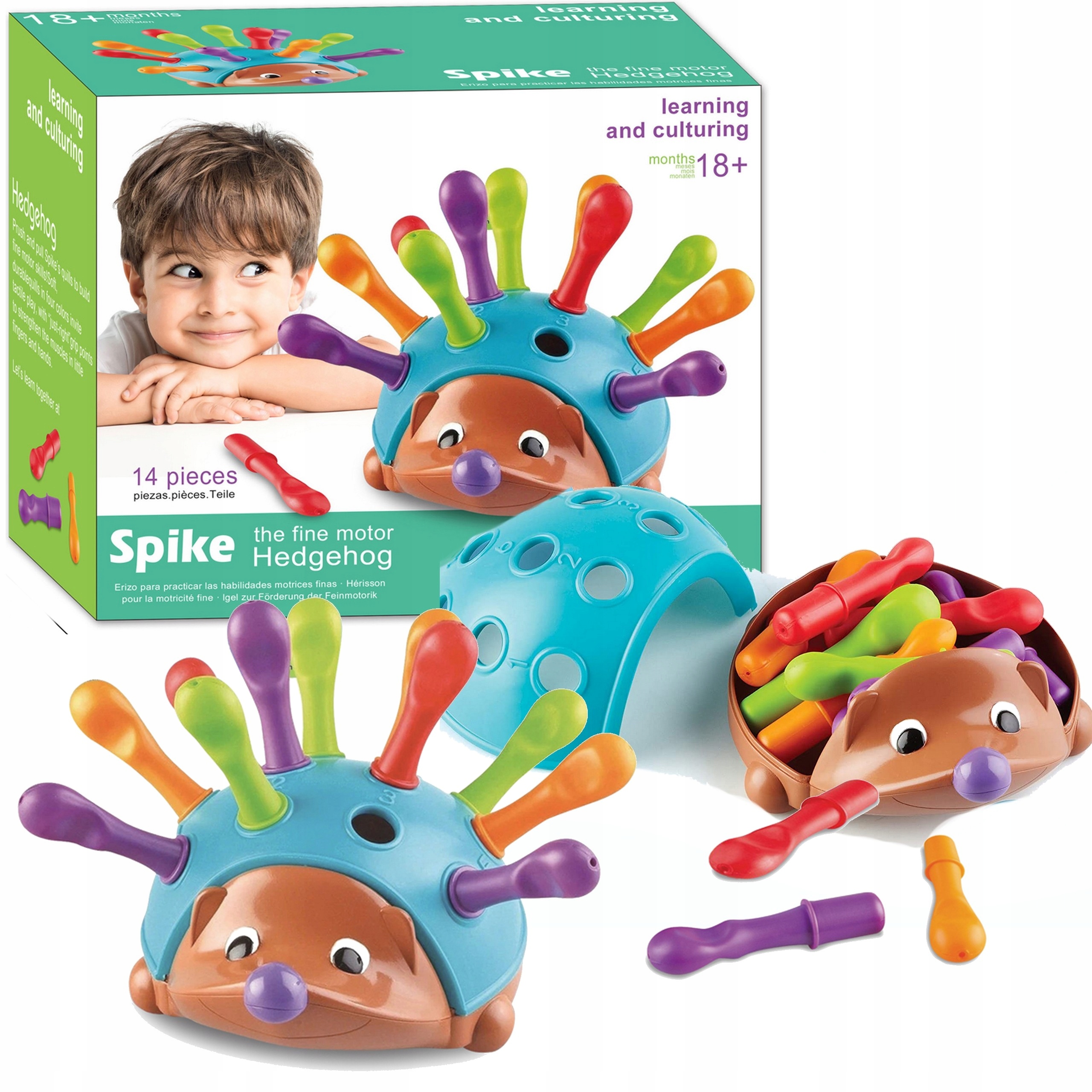 

Jeżyk sorter Montessori nauka motoryczna układanka
