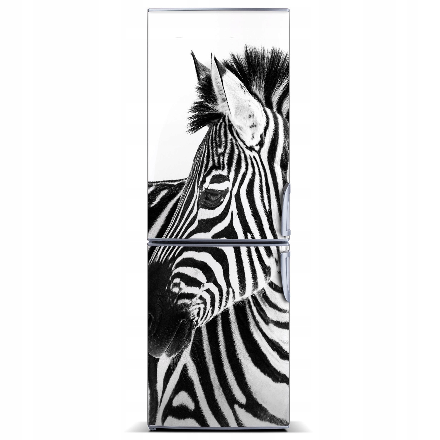 

Naklejka Magnes na lodówkę Zebra w śniegu 60x180
