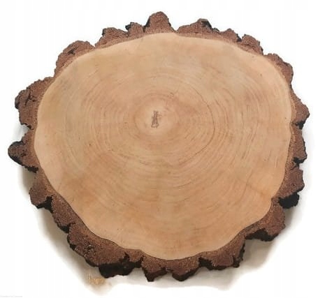 Bříza olejovaná 46-50 Dřevěný plát Velký kotouč