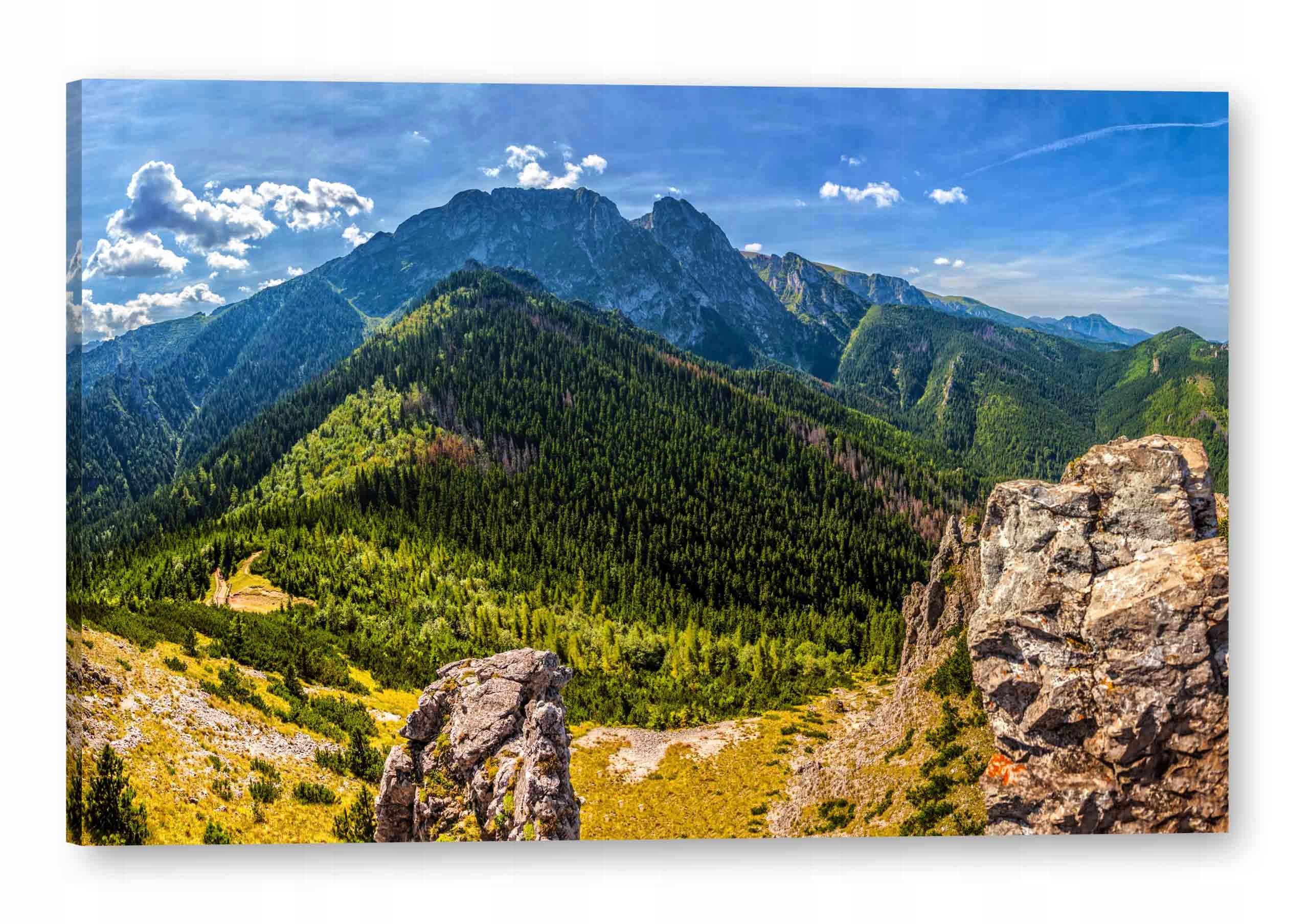 

Obraz na płótnie 100X65 Obrazy na ścianę salonu