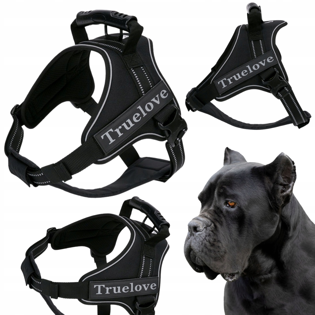 Levně Postroj Pro Psa Pracujícího S Rukojetí Truelove Outdoor Černý XXL