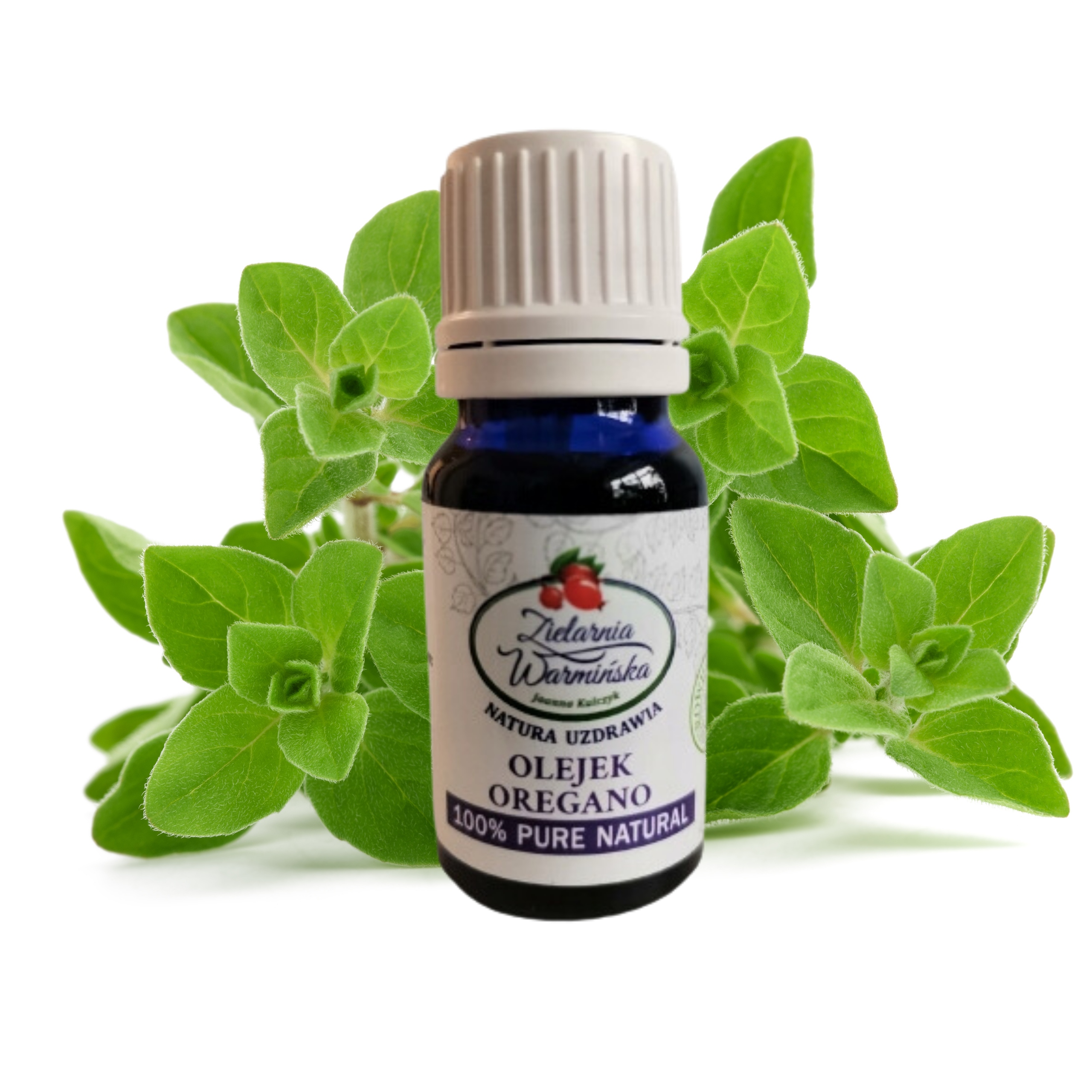 OLEJEK Z OREGANO