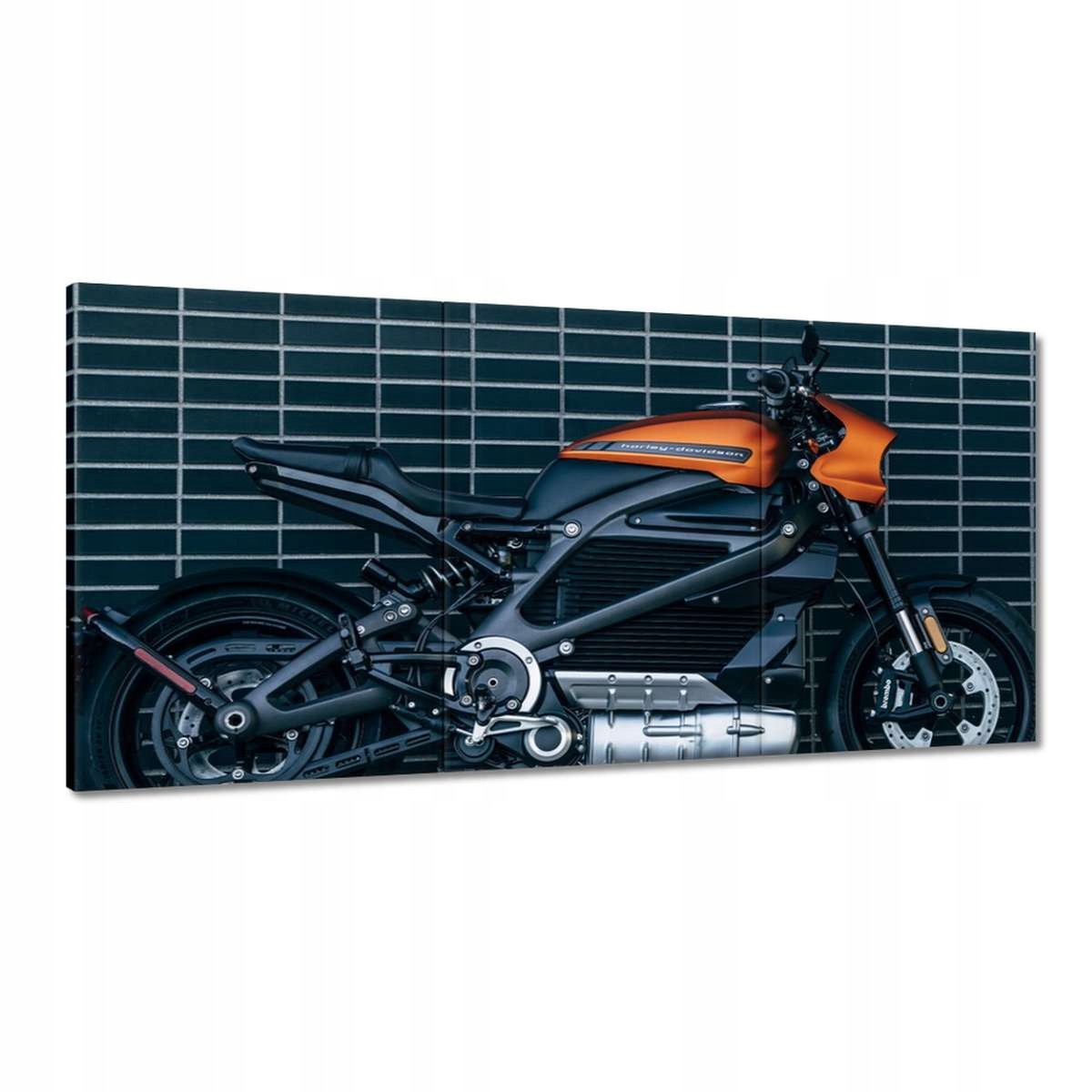 Obrazy 180x90 Harley Davidson Motocykel