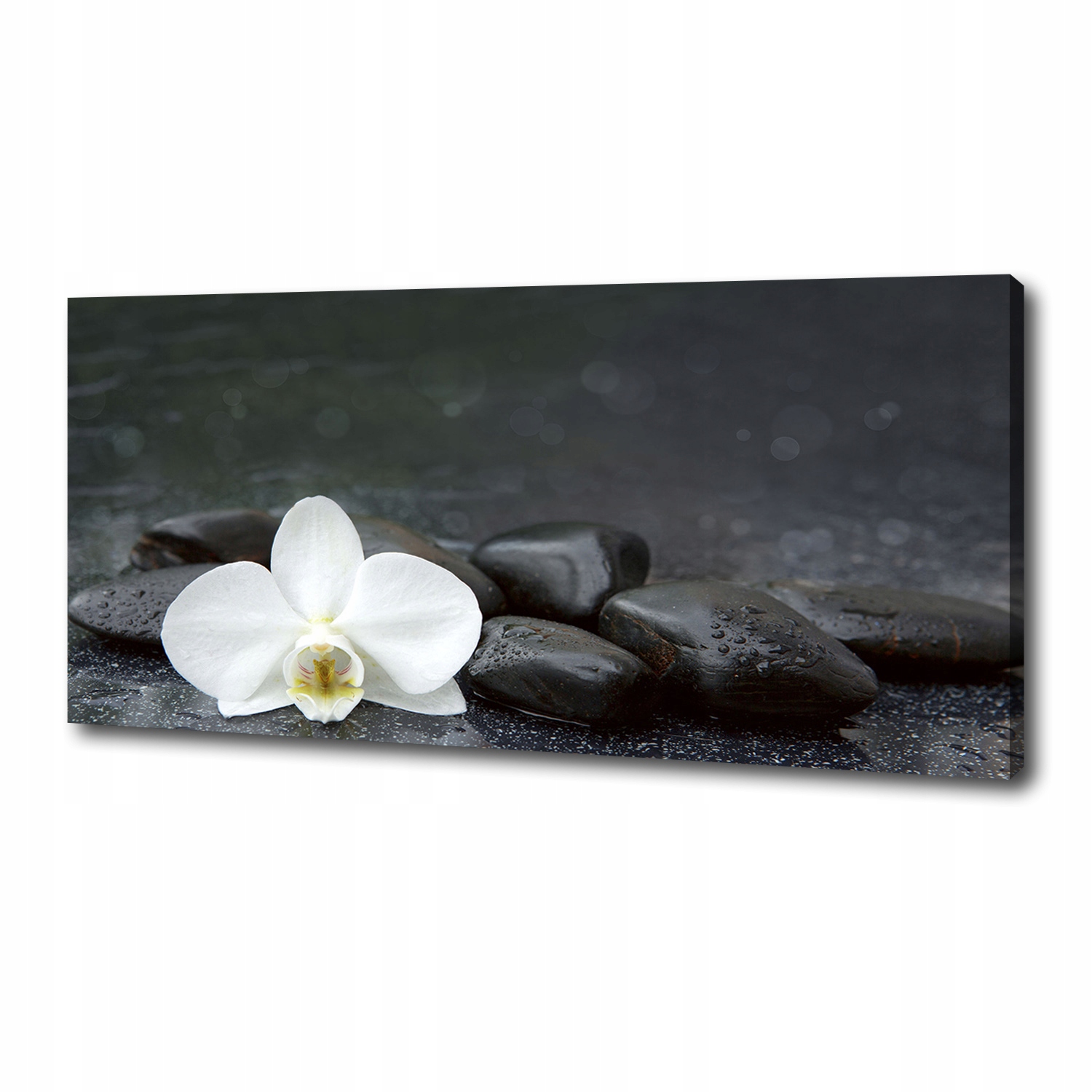 

Foto obraz canvas na ścianę Orchidea 125x50 cm