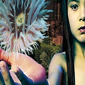 ++ Future Sound Of London Lifeforms 2CD
