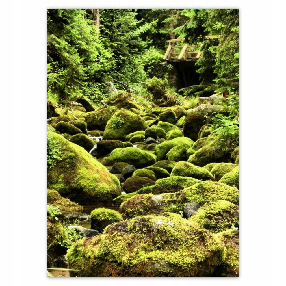 

Naklejki 50x70 Tatry Polskie góry Widok