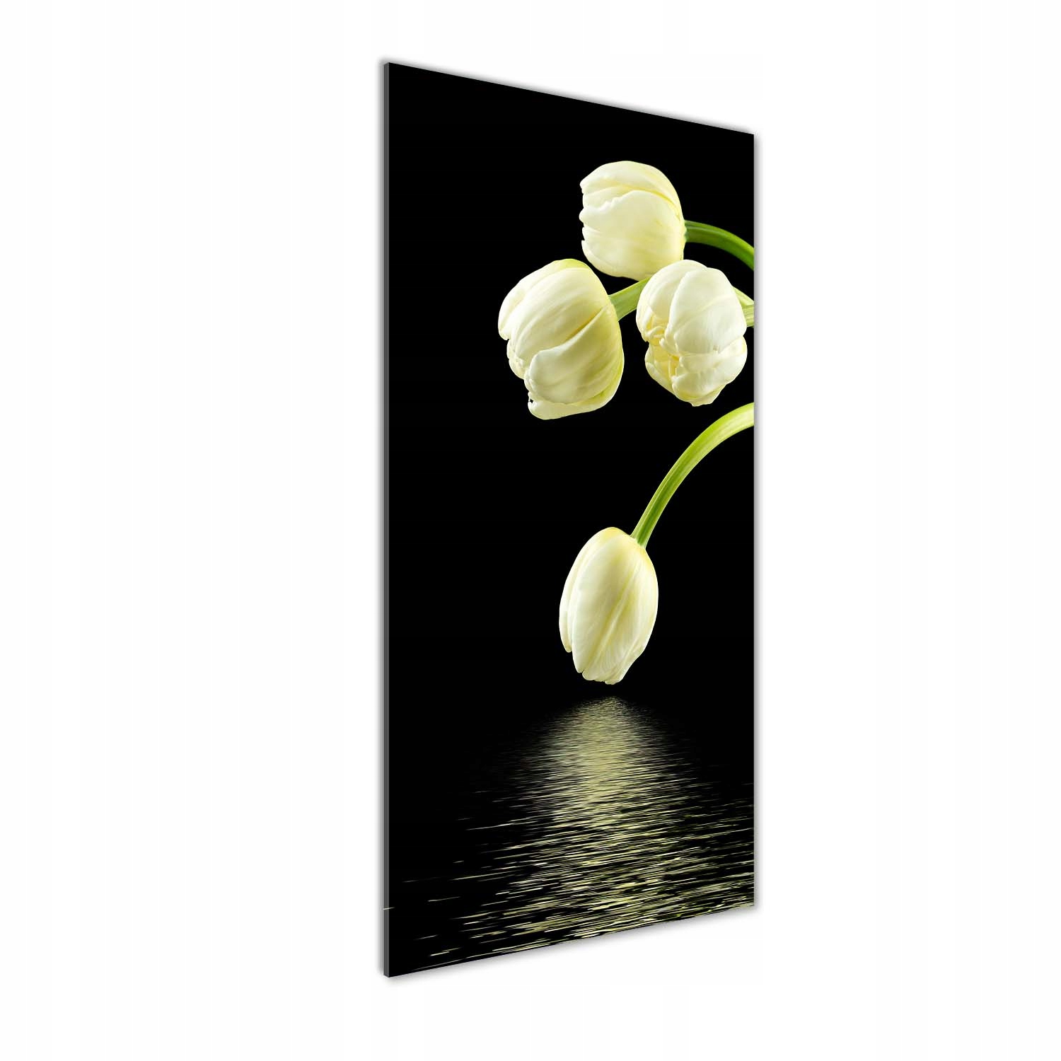 Fotoobraz akryl do obývacího pokoje Bílé tulipány 50x125 cm