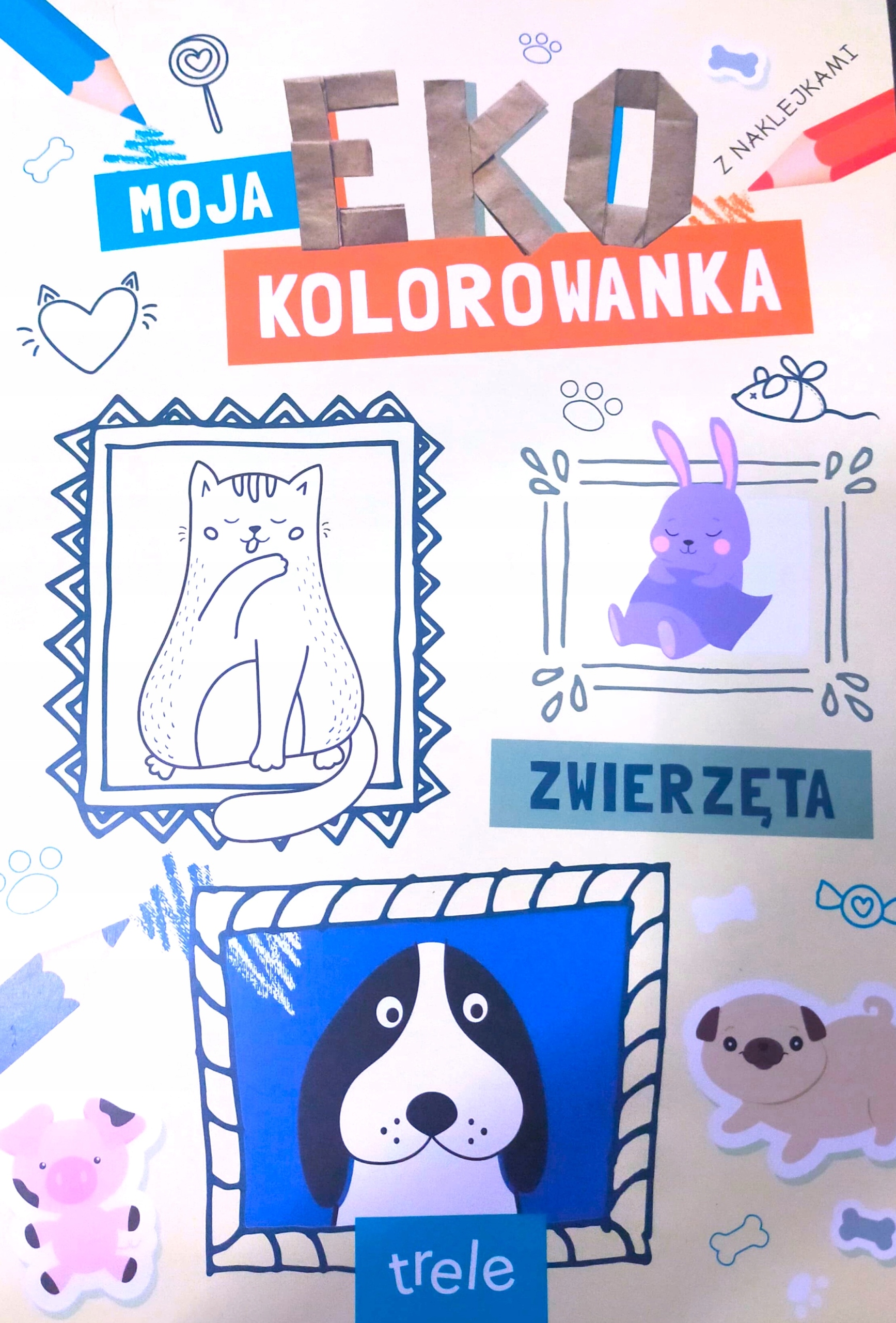 Zwierzęta. Moja Eko Kolorowanka