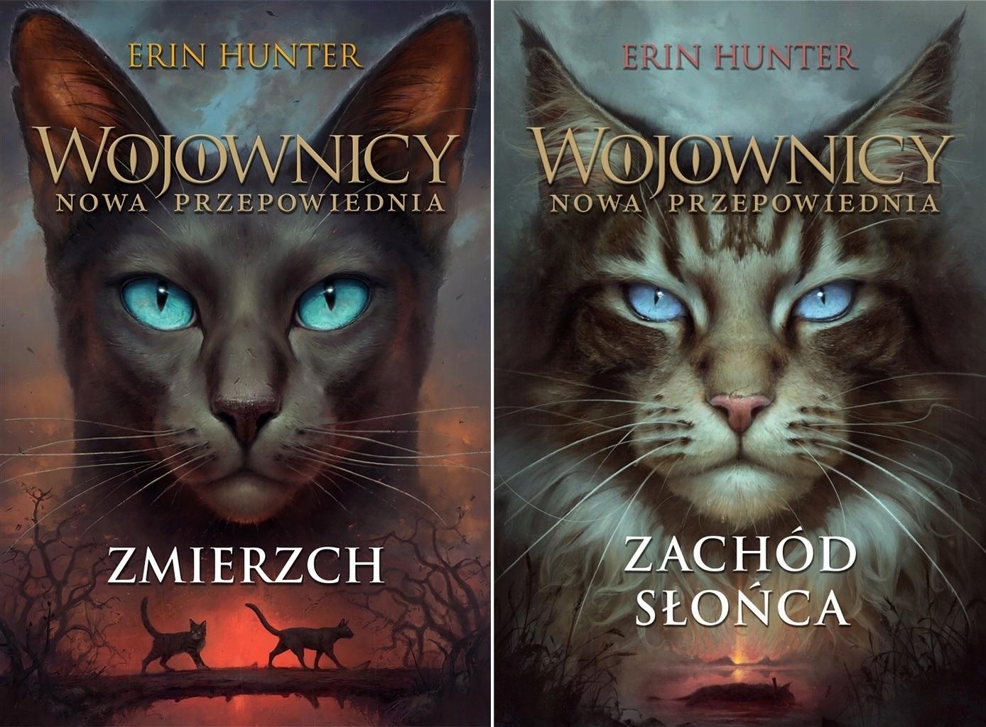 Zachód słońca Erin Hunter