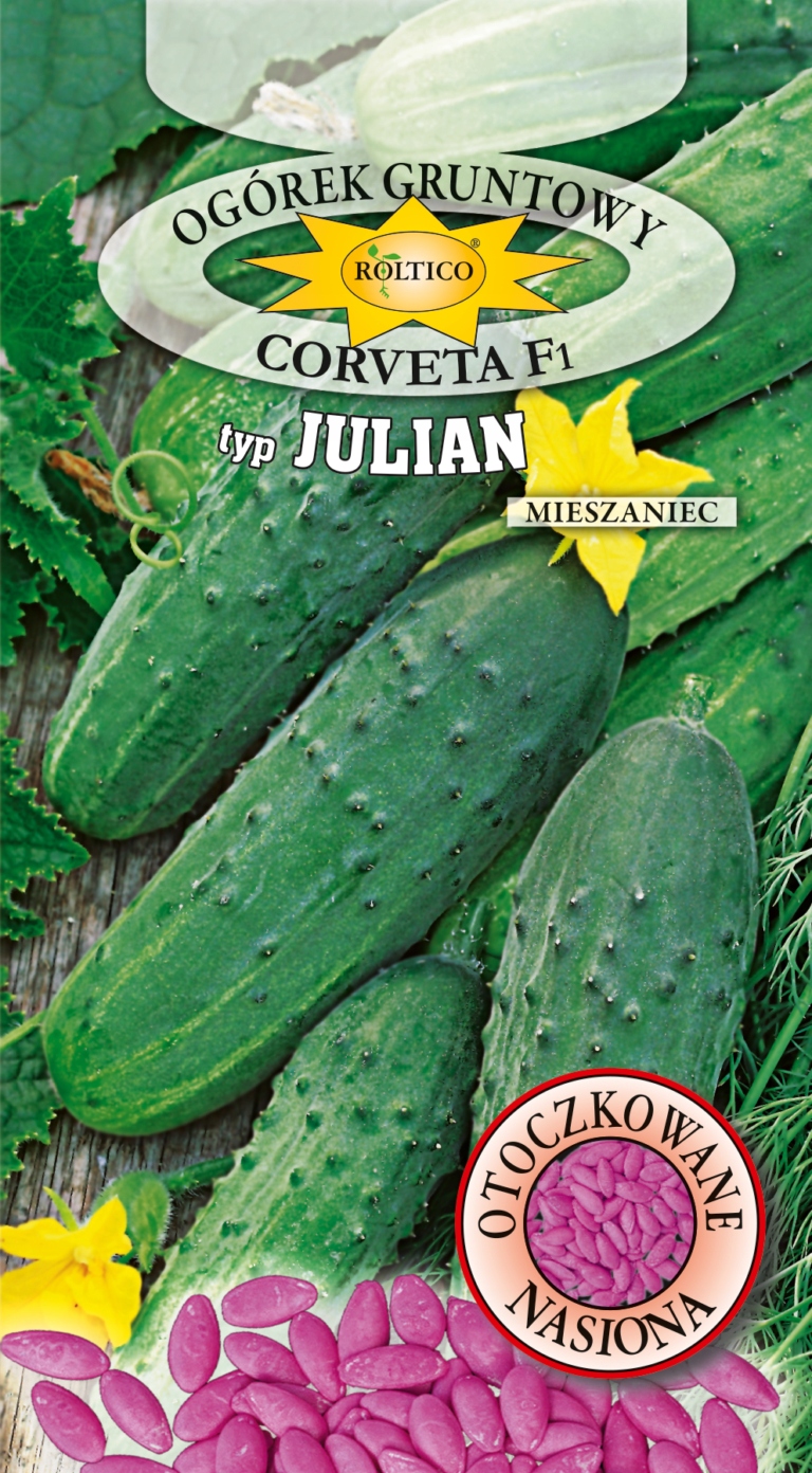 NASIONA OTOCZKOWANE OGÓREK CORVETA F1 - JULIAN OK.50 NASION ROLTICO