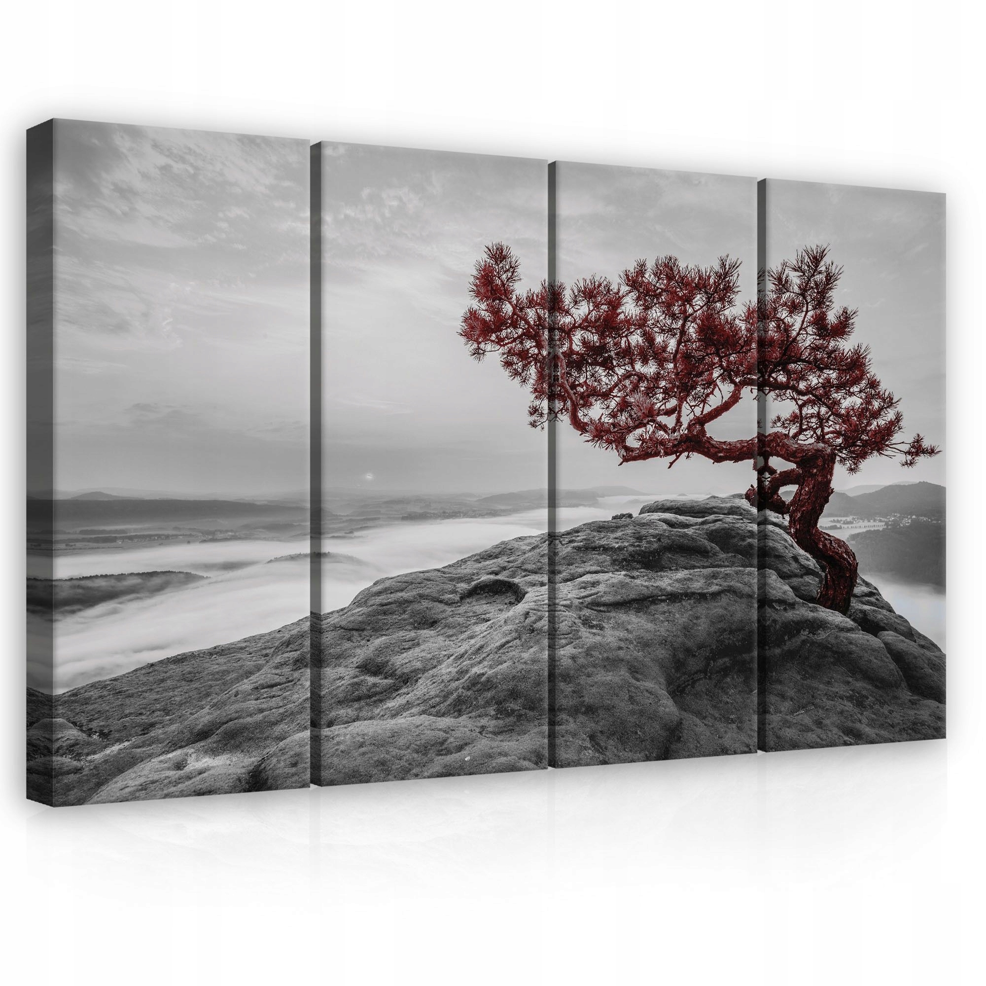 Obraz 120x80 skála strom mlha hora síla samota příroda kontrast červená