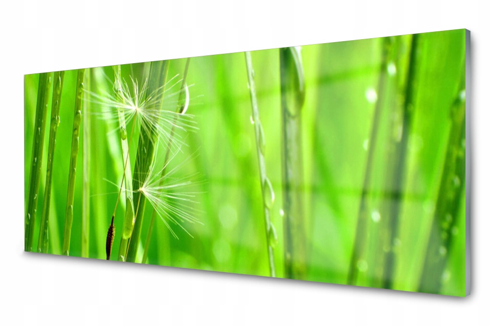 Skleněný panel do kuchyně Tráva Rostlina 125x50