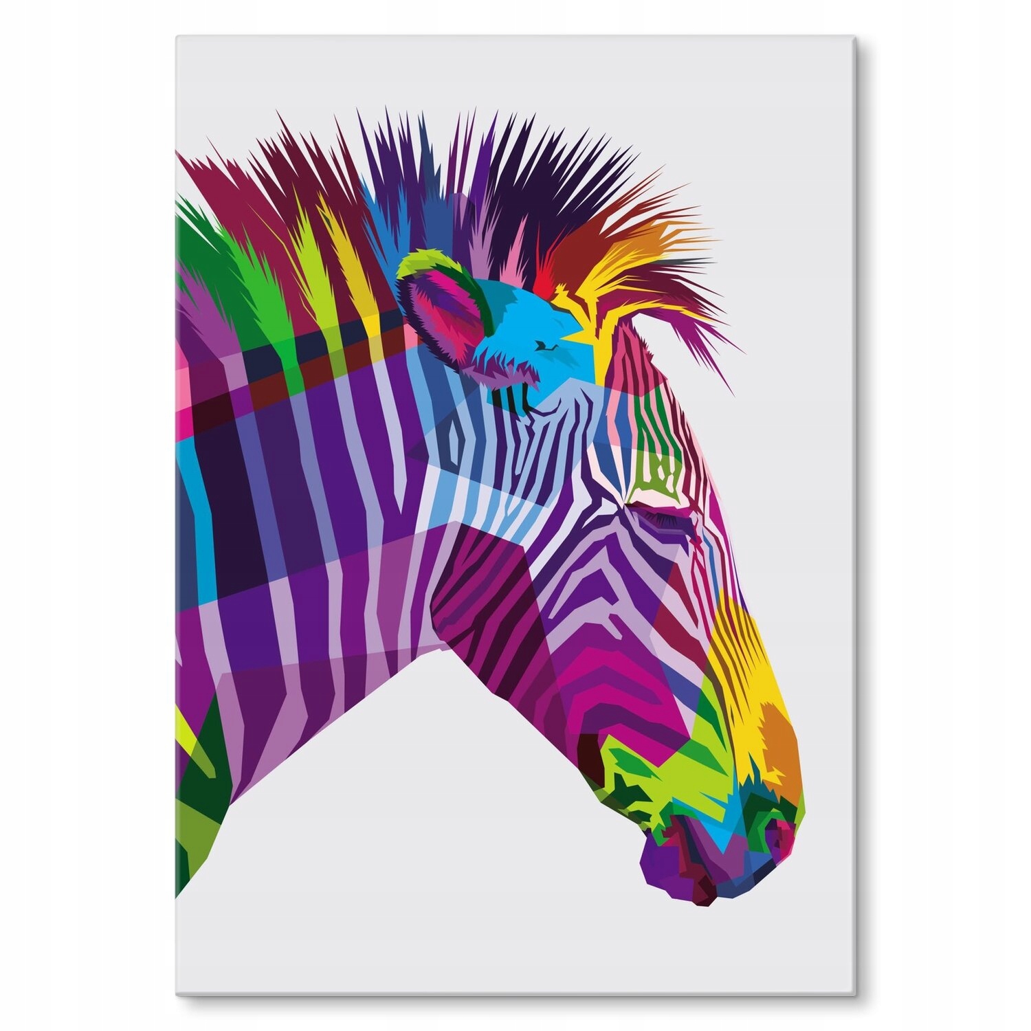 Kovový plakát Barevná zebra Dárek 42 x 59 cm